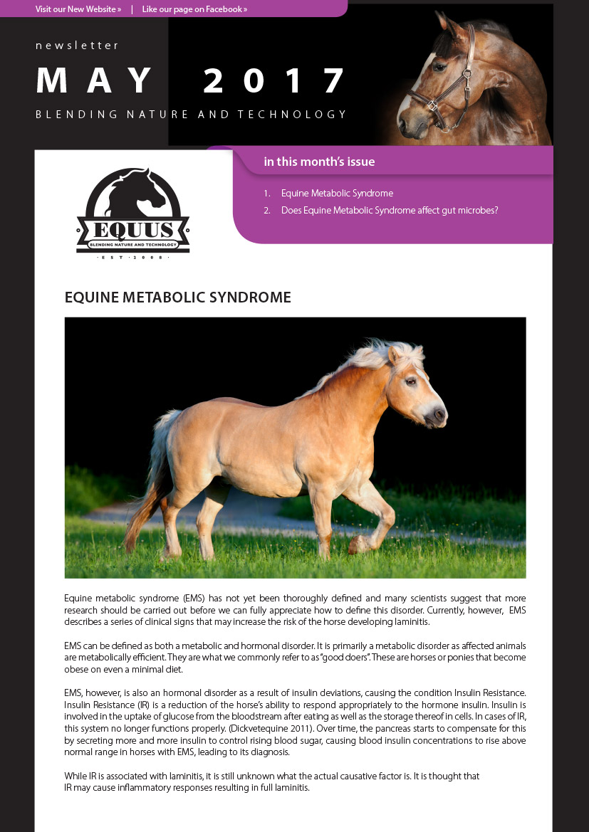 EQUUS-Newsletter-May-2017_FA-1
