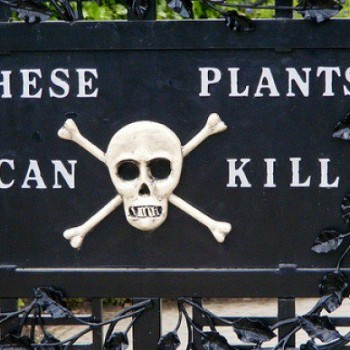 sm_Poisonous-Plants-Sign