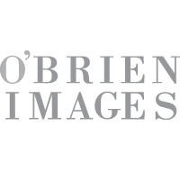 O’BRIEN IMAGES – PHOTOGRAPHY